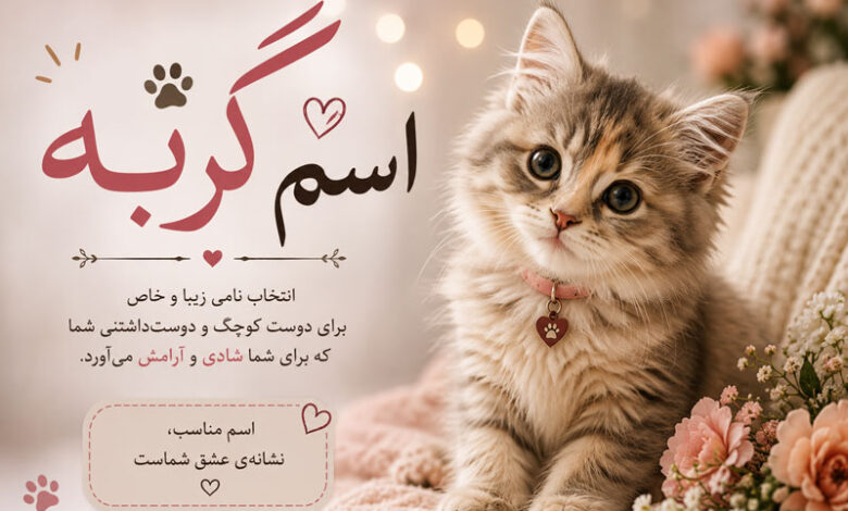 اسم گربه خاص و خفن، بامزه، خارجی برای گربه نر و ماده
