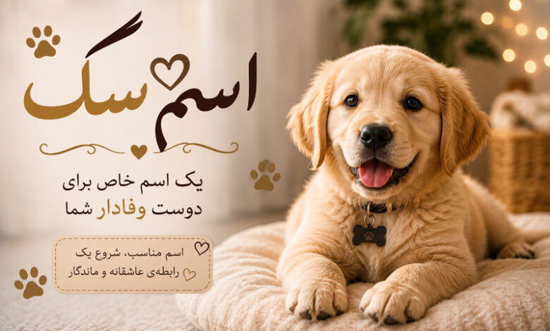 اسم سگ خاص، بامزه، خارجی با معنی برای سگ نر و ماده
